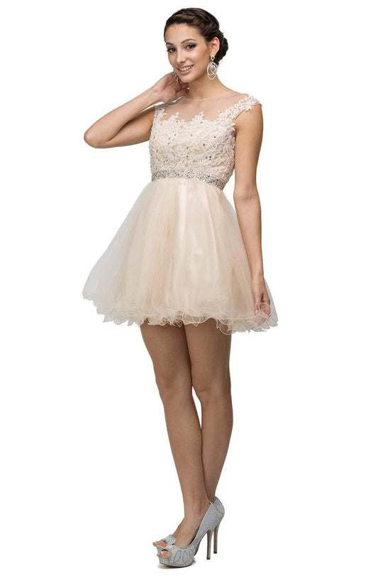 Lace Applique A-line Short Dress