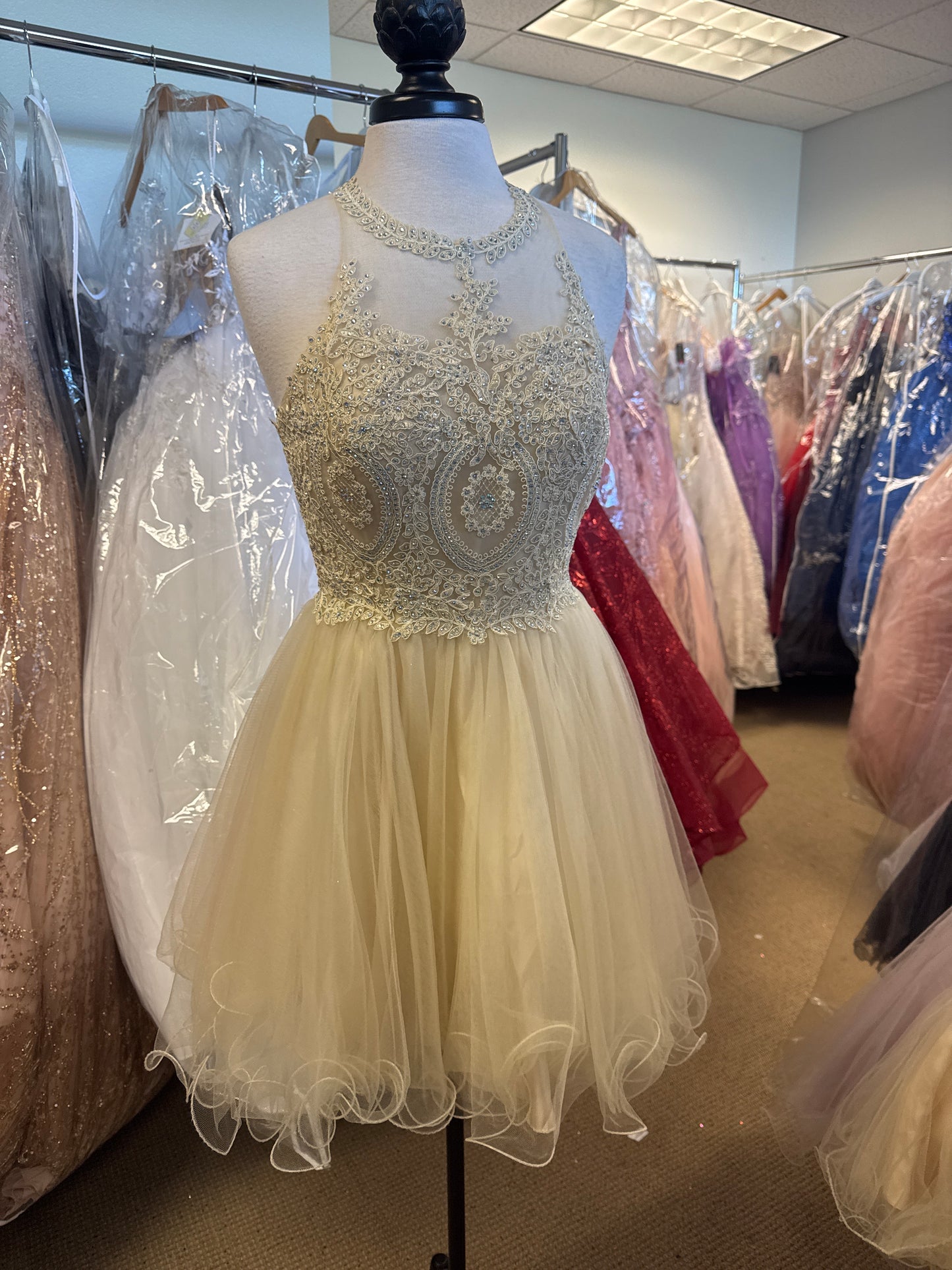 Beaded High-Neck Tulle Skirt Short Dress Bellissimas Bridal & Quinceanera Boutique Beaded High-Neck Tulle Skirt Short Dress Bellissimas Bridal & Quinceanera Boutique